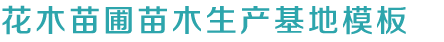 九游下载中心官网